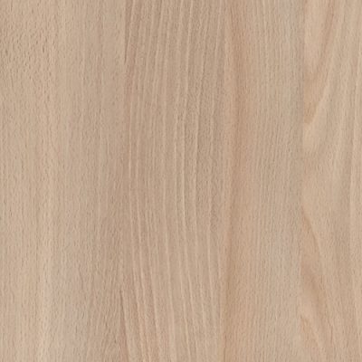 Casentino Beech