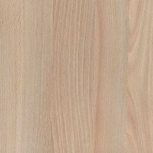 Casentino Beech