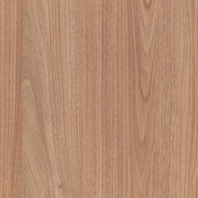 Tasmanian Oak