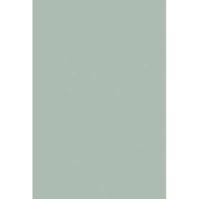 Spinafex